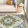 Ferrier Oriental Indoor Rug