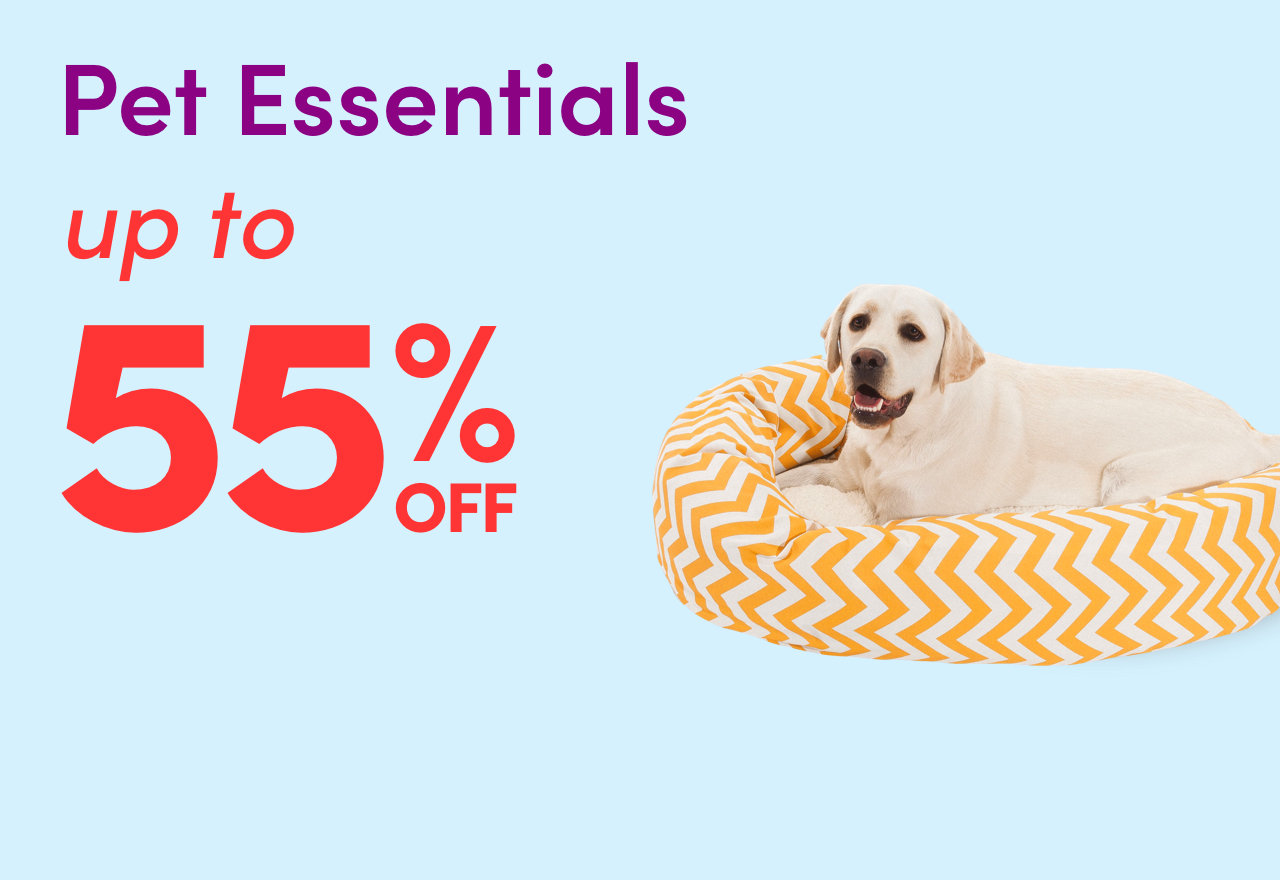 Pet Essentials Clearance 2024 | Wayfair