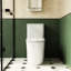 White Ceramic Toilet, 1.1/1.6 , Elongated, Comfortable, Soft Close Seat, & , T036wt One Comfort Height, White,