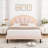 Aisaiah Velvet Upholstered Platform Bed with LED Headboard and Storage-949316127-949464353