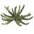 3-4" Spider Claws, Dried-1086617944