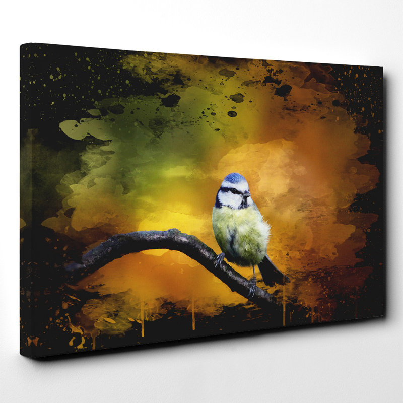 Blue Tit - Wrapped Canvas, 35cm H x 50cm W
