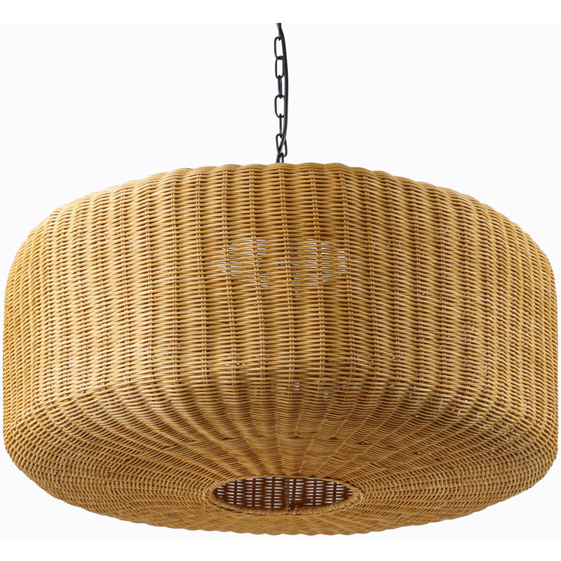 Luminaire suspendu 1 lumière