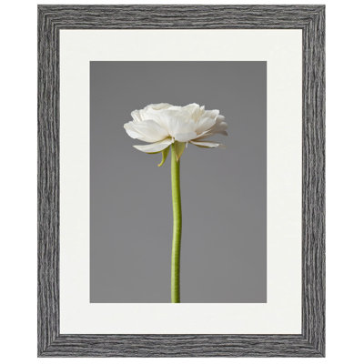 Picture Frame with Mat