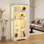 Display Cabinet-865893030