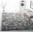 Morrell Shag Hand Tufted Performance Solid Color Rug-1264787147