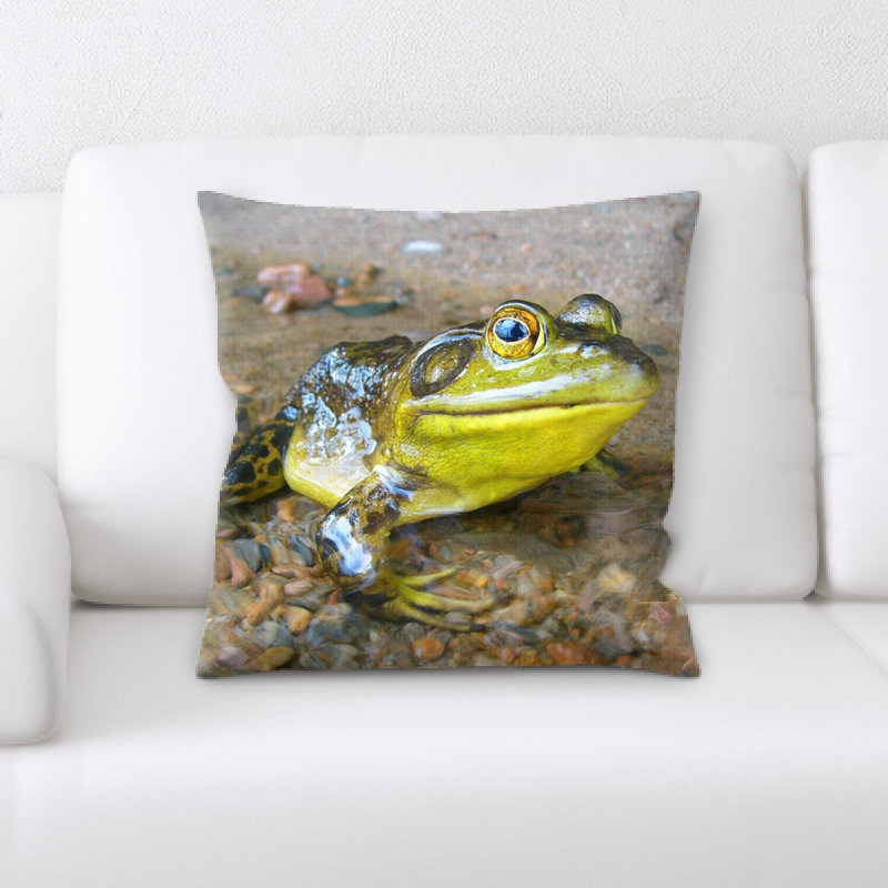 Microsuede Throw Pillow