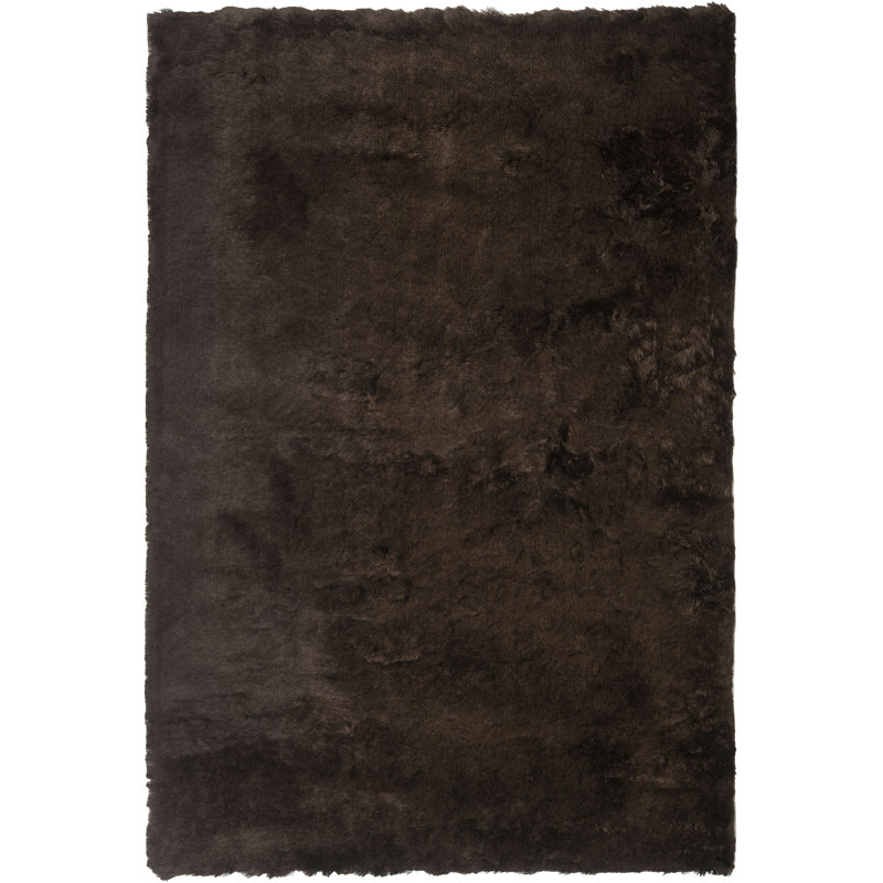 Tapis chocolat touffeté à la main Delane, Rectangle 5 pi x 8 pi