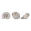 Polyresin Coastal Shell Design Sculptures Decorative Accent Figurines, Set Of 3 - 5", 3" Ivory