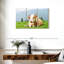 Simple matin de vache-875766289