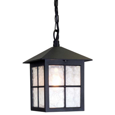 Lucia Outdoor Hanging Lantern