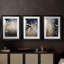 FLORAL Series CDI  -Custom Framed  Premium Print W Matt - 3 Pieces-1231686673-1231686675