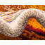 Tapis abstrait beige Auyeung-1773209371