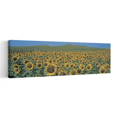 Sunflower Field Andalucia Spain Abstract Contemporary Sunflower Flower Landscape Wall Art
