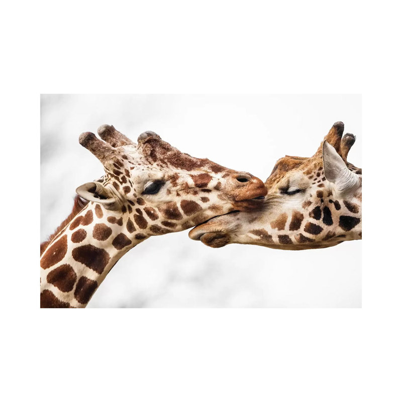 Love by Goran Anastasovski - Wrapped Canvas Print, 66.04 cm H x 45.72 cm W x 3.175 cm D