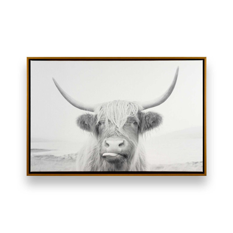 «Playful Highland Cow», reproduction sur toile, Cadre flottant or poli, H 32,75 po x l 48,75 po x P 1,75 po