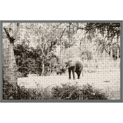 Elephant Jungle - Single Picture Frame Print