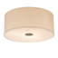 Zionsville 3 - Light Flush Mount-1690925341