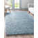 Indoor Rug
