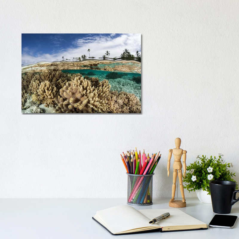 A Healthy Coral Reef Grows In The Solomon Islands I by Ethan Daniels - Wrapped Canvas Print, 20.32 cm H x 30.48 cm W