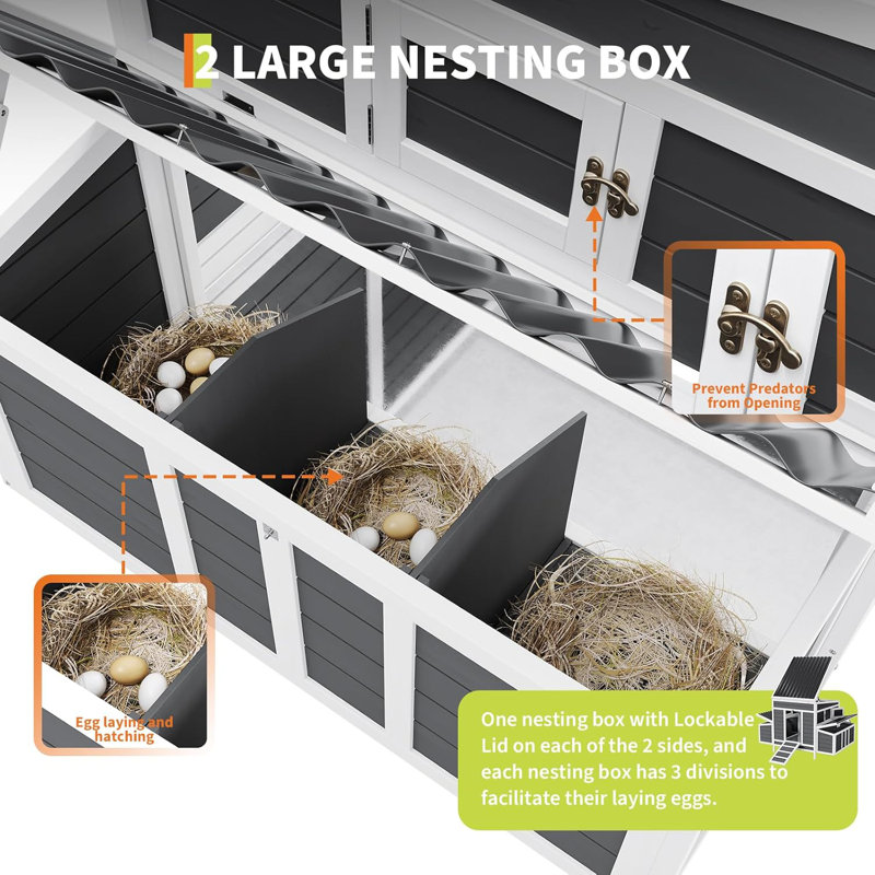 Chicken Coop