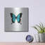 «Blue Butterfly» par PhotoINC Studio-1144051271