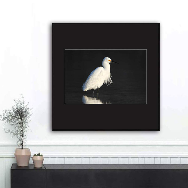 H04 A Bird debout, reproduction sur toile, H 16 po x l 16 po x P 1,5 po, Noir