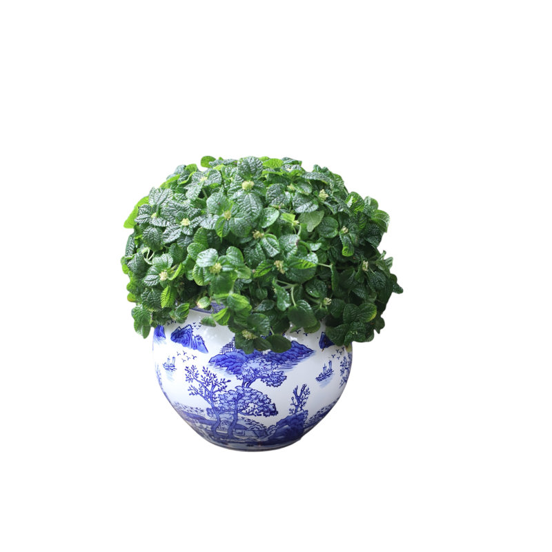 Pot à fleurs 11 po Euro Ceramica