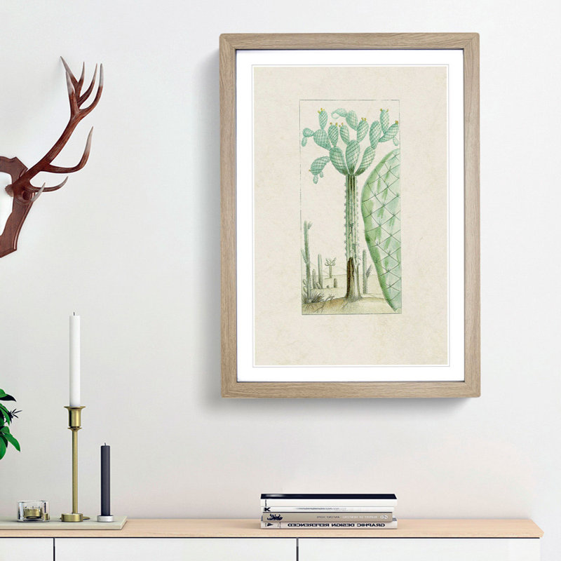 Cactus Illustration - Picture Frame Painting Print, 48cm H x 36cm W x 2cm D, Oak Framed