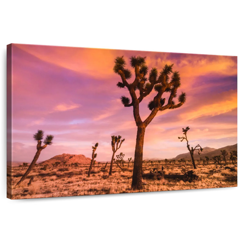 Harnek Patch Of Joshua Trees