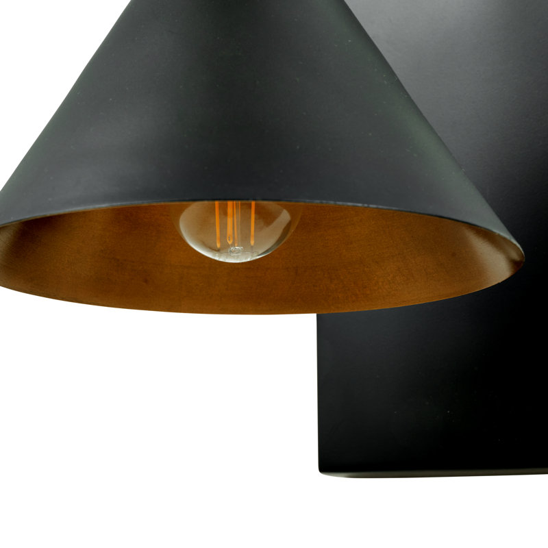 Summerdale Iron Armed Sconce