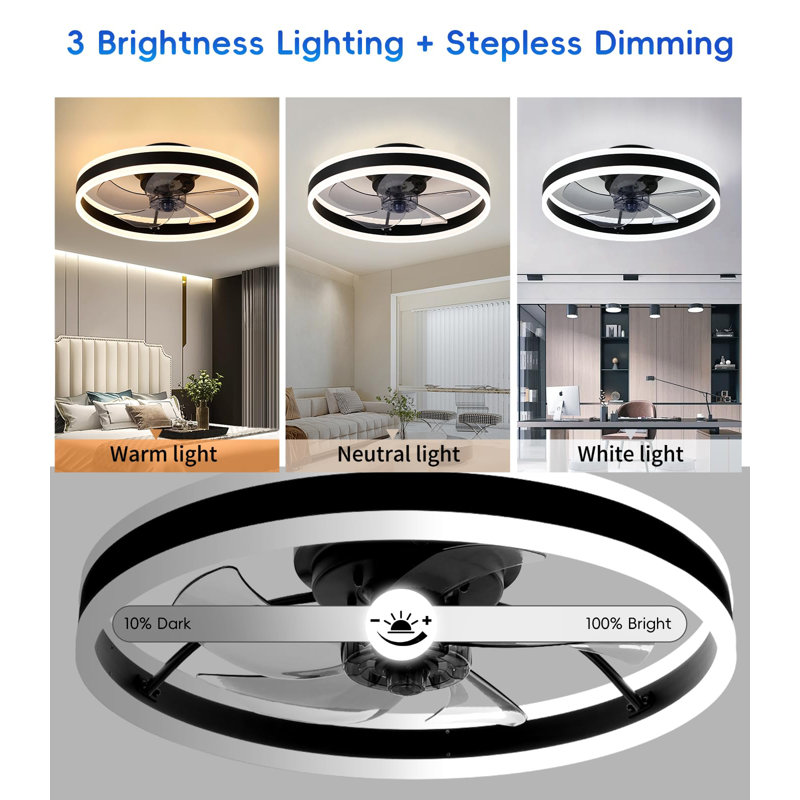 Ceiling Fan with LED Lights