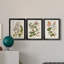«Vintage Flowering Trees II», ensemble de 3 impressions sur toile encadrées-428839002-428839007