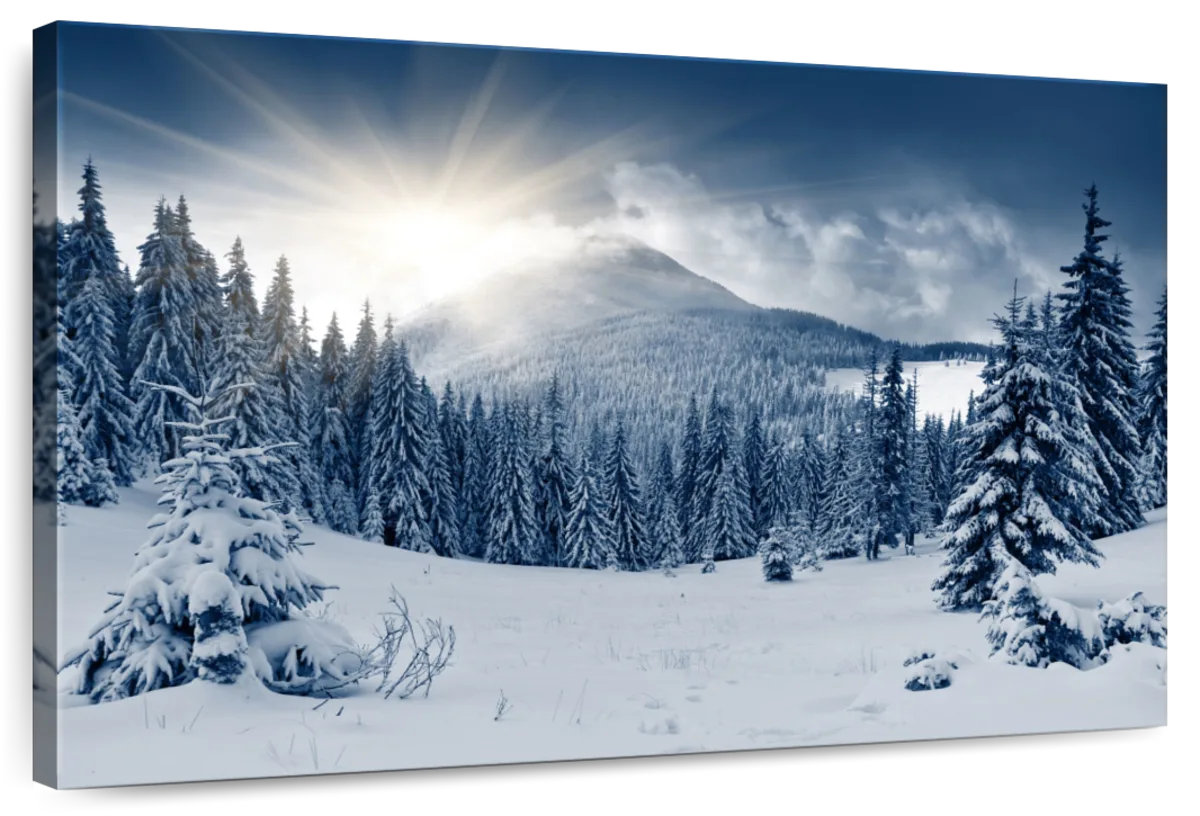 Millwood Pines Alvord Snow Covered Pine Forest | Wayfair