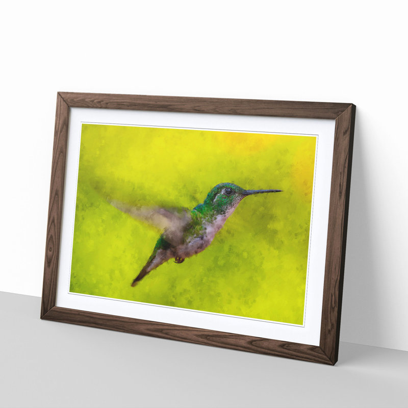 Hummingbird in Costa Rica - Picture Frame Painting Print, Walnut Framed, 45cm H x 63cm W x 2cm D