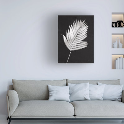 Œuvre sur toile noire, Rhin Piper Rhue, Nature par The Lake Ferns III