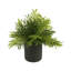 Kenley Faux Fern Plant in Pot