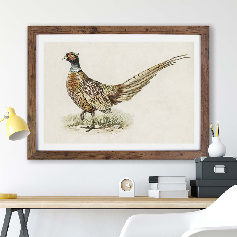 Ring-Necked Pheasant by Von Wright - Single Picture Frame Painting, 24cm H x 33cm W x 2cm D, Walnut