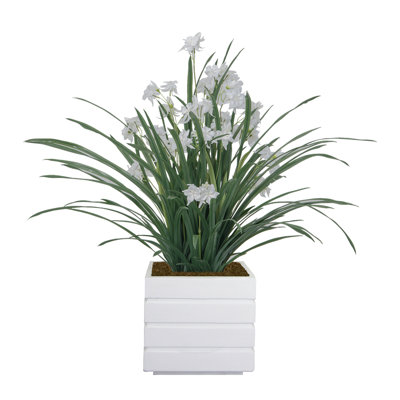 40 po citronnelle artificielle en pot