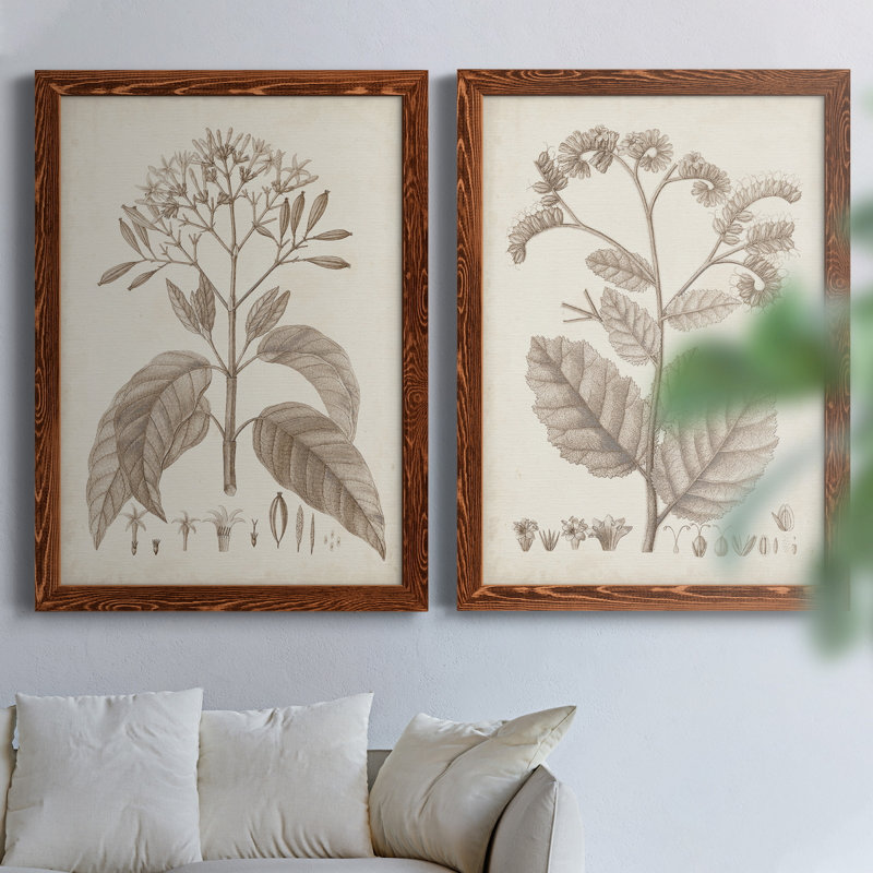 Antique sépia botanicals II, toile encadrée de qualité supérieure - prête à être accrochée, H 31,5 po x l 47 po x P 1,5 po