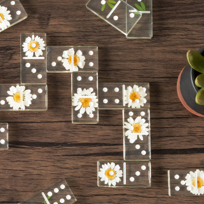 Acrylic 28 Piece Domino Set