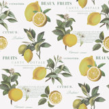 Just Kitchens Citron Botanical Leaf 33' L x 21" W Wallpaper Roll