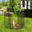 Panel Iron Exercise Pen With Door-98515390