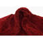 Tapis rouge sang Baynes-20250268-130905033