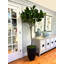 7 Faux Fiddle Leaf Fig Tree in Fiberstone Pot
