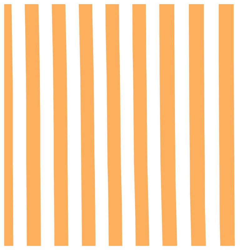 Orange Vertical Stripes Comforter, Twin