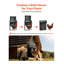 Porte de poulailler automatique, porte de poulet à courant continu et à batterie avec écran LCD, capteur de lumière, minuterie et réglage manuel, sécurité anti-pincement, alliage d'aluminium durable, ouvre-porte Chick Run pour ferme