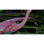 Piquet de jardin en métal Lustre