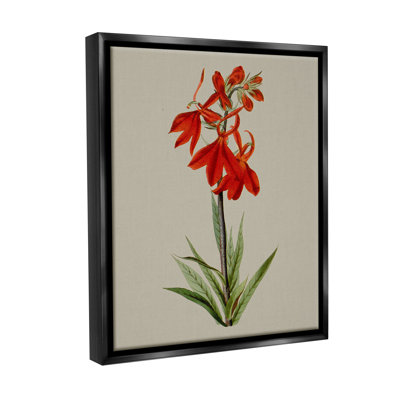 «Traditional Blossom Study Floater Frame» par Vision Studio sur toile