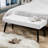 40'' Wide Modern Upholstered Tufted Entryway Bench-1608001016-1608001023